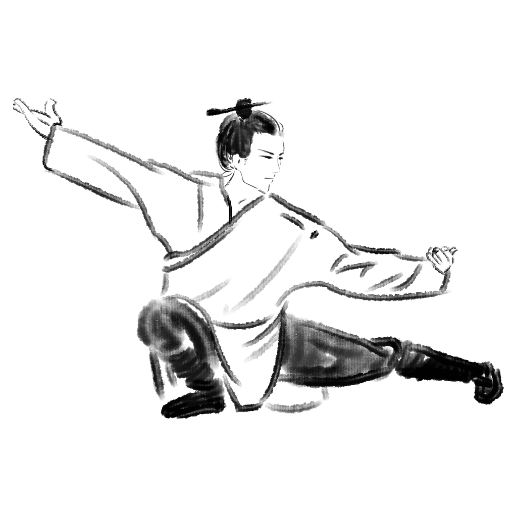 Silhouette of a martial artist preparing to attack with dynamic energy lines radiating outward.