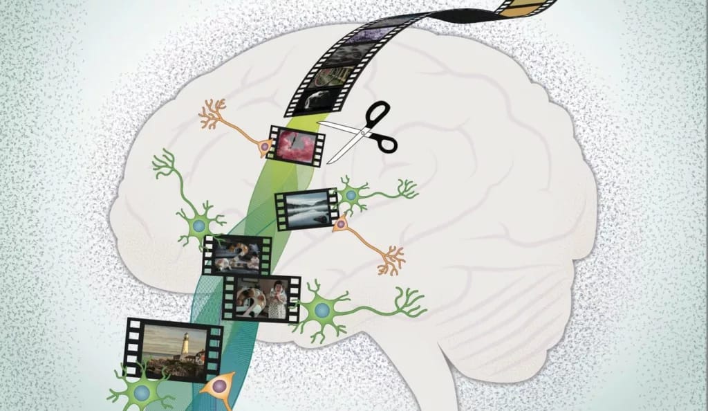Brain illustration with filmstrip running through it, scissors cutting part of the strip