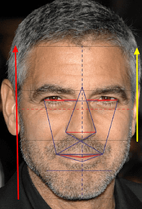 golden ratio in human face