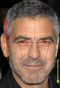 golden ratio in human face