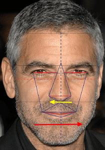 golden ratio in human face