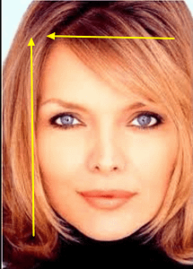 golden ratio in human face