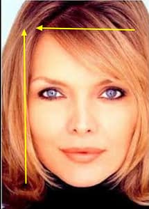 golden ratio in human face