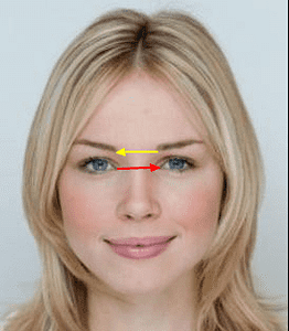 golden ratio in human face