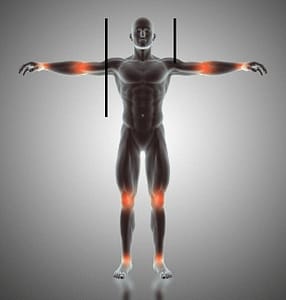 golden ratio in human body