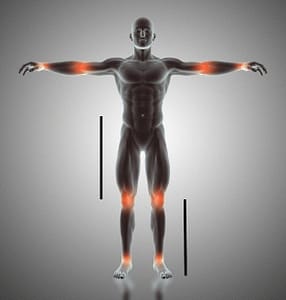 The golden ratio in human body