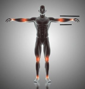 golden ratio, human body