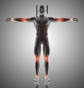 human body, golden ratio