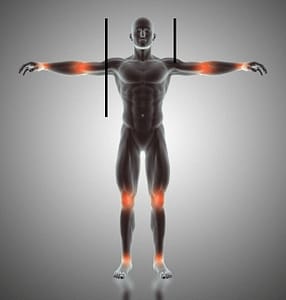 golden ratio in human body