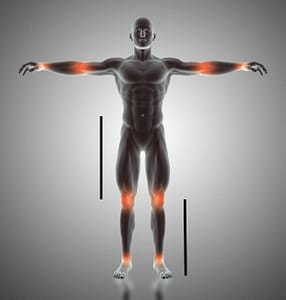 The golden ratio in human body