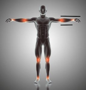 golden ratio, human body