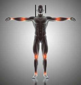 human body, golden ratio